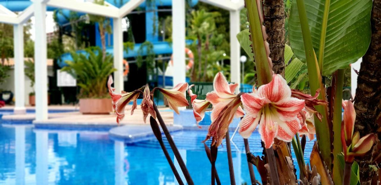 El Estudio De La Playa Benalbeach Holidays Deluxe Benalmádena Zewnętrze zdjęcie