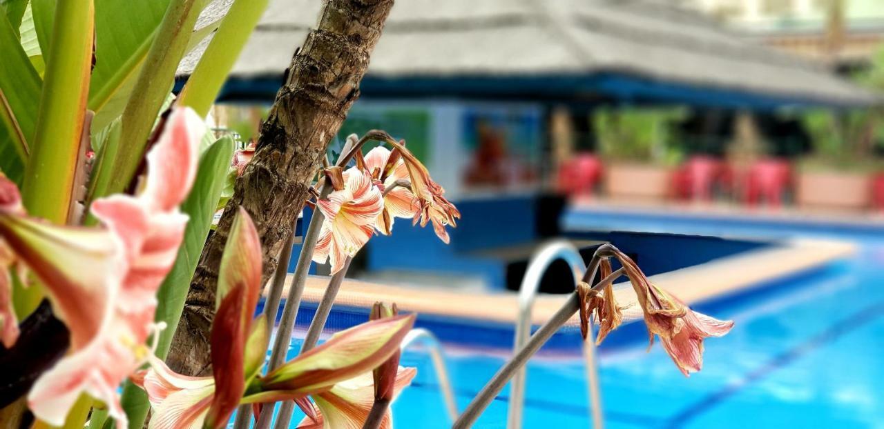El Estudio De La Playa Benalbeach Holidays Deluxe Benalmádena Zewnętrze zdjęcie